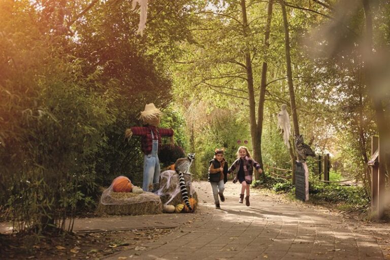 Boeh in de Zoo — natuur in Veldhoven